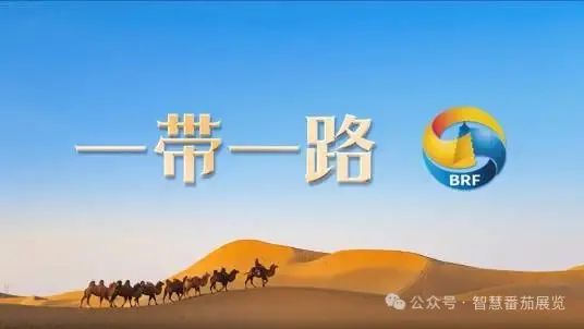专、精、特、小 品牌服务商——智慧番茄(图6)